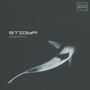 Album Subsurface (Original Mix) from Stigya