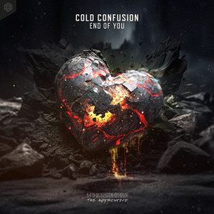 Cold Confusion的專輯End Of You