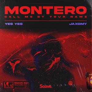 Listen to MONTERO (Call Me By Your Name) (Explicit) song with lyrics from Yes Yes