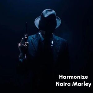 Naira Marley的專輯Drill (Instrument)