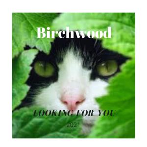 收聽Birchwood的Looking For You歌詞歌曲