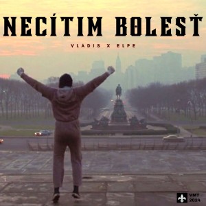 Album Necítim bolesť from Vladis