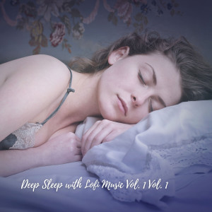 Album Deep Sleep with Lofi Music Vol. 1 Vol. 1 from Lo Fi Study Chill