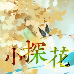 Album 小探花 from 小小萱