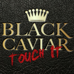 ดาวน์โหลดและฟังเพลง Touch It (Clean) พร้อมเนื้อเพลงจาก Black Caviar