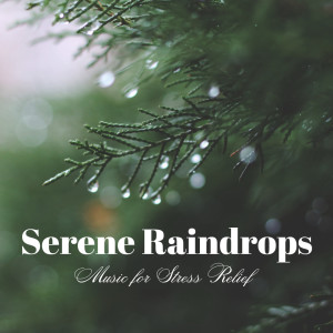 Serene Raindrops: Music for Stress Relief dari SerenitySounds