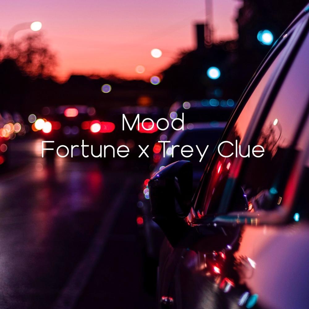 Mood (feat. Trey Clue) (Explicit)