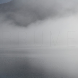 Listen to Brume song with lyrics from NeLiME