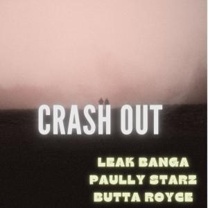 Album We Crashed Out from Leak Banga