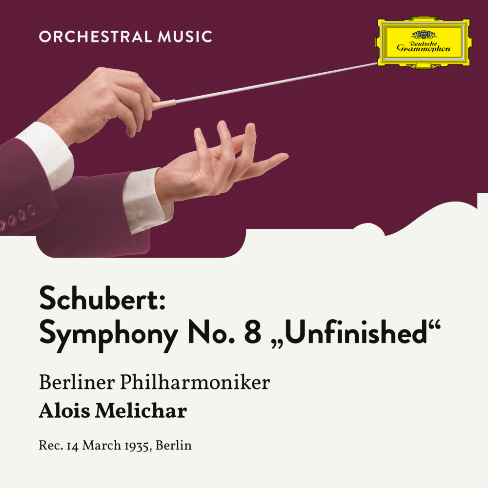 Schubert: Symphony No. 8 in B Minor, D. 759 "Unfinished" - 2. Andante con moto