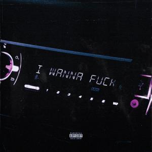 收聽SyhG的I WANNA **** (feat. Shizz Nitty) (Explicit)歌詞歌曲