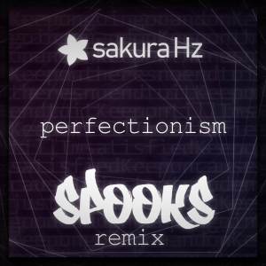Perfectionism (Spooks Remix)