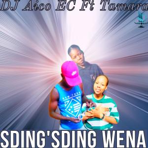 收聽DJ Aico EC的Sdim'dim wena (feat. Tamara)歌詞歌曲