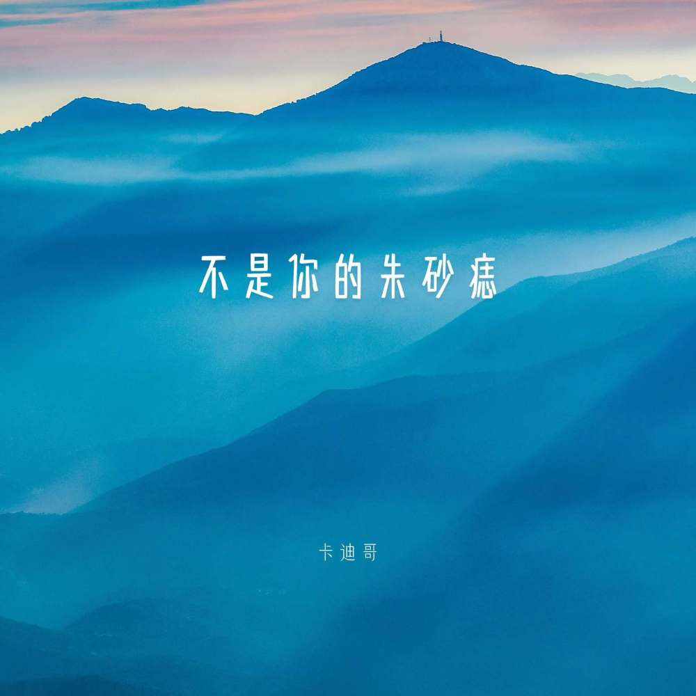 不是你的朱砂痣 (伴奏)