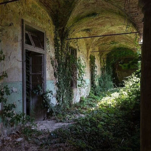 Album Kino Der Tauten from Rift