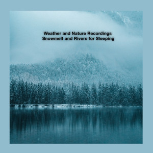 Listen to Rapids Offshoot song with lyrics from Weather and Nature Recordings