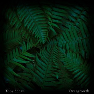 Dengarkan bright sky lagu dari Toby Schay dengan lirik