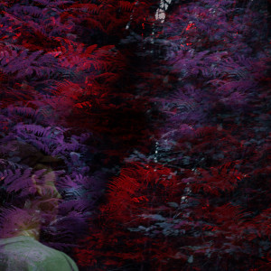 Listen to Cool Down song with lyrics from beau peep