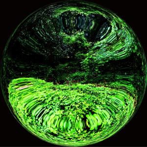 Listen to Corpus song with lyrics from Harvester
