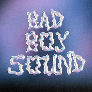 Listen to Bad Boy Sound song with lyrics from Feed the Fire