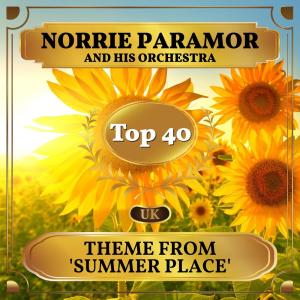 Norrie Paramor and His Orchestra的專輯Theme from 'Summer Place' (UK Chart Top 40 - No. 36)