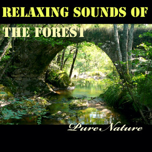 Album Relaxing Sounds of the Forest from Pure Nature