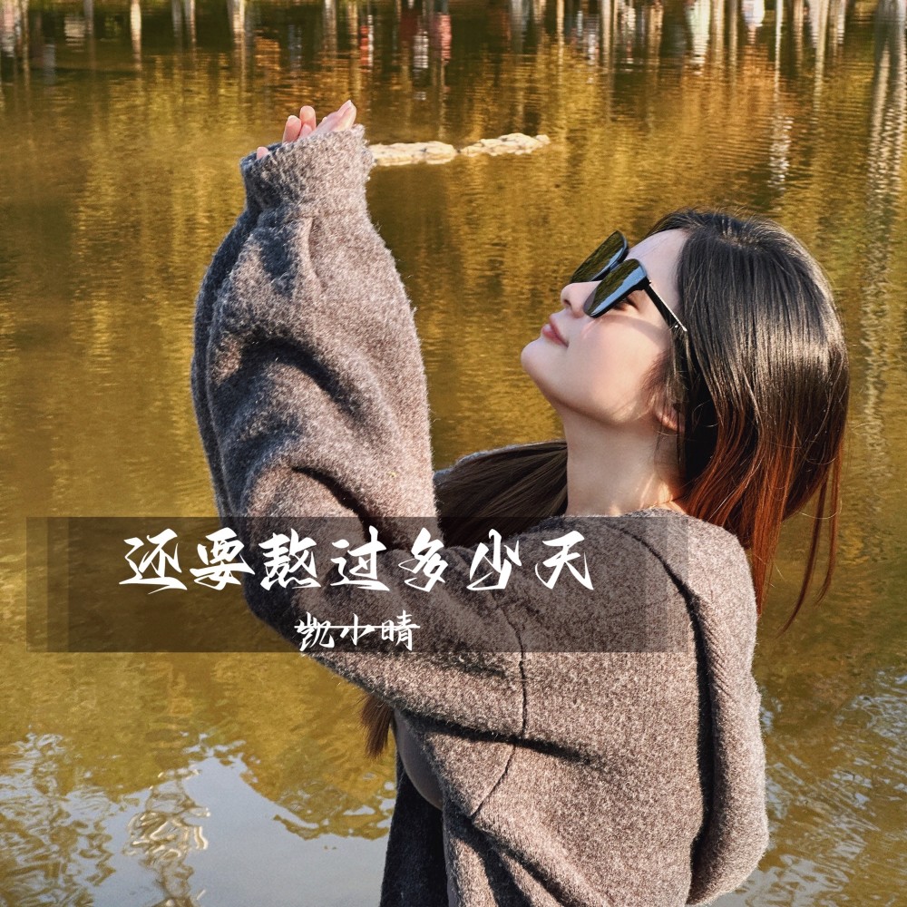 还要熬过多少天（DJ彭锐版） (伴奏)