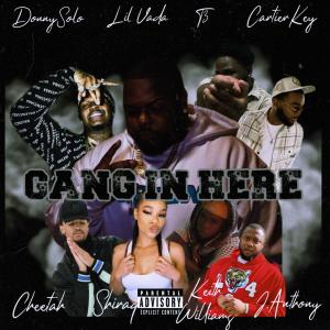 DonnySolo的專輯Gang In Here (feat. Lil Vada, Keith Williams, T3razyyy, Cartier Key, J.Anthony, Cheetah & Shiraq) [Explicit]