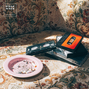 收聽Pale Male的Song for Sully (Explicit)歌詞歌曲