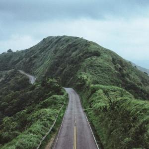 Dengarkan lagu Young Tree nyanyian Deep Sleep dengan lirik