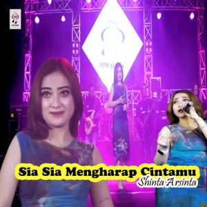 Dengarkan Sia Sia Mengharap Cintamu lagu dari Shinta Arsinta dengan lirik