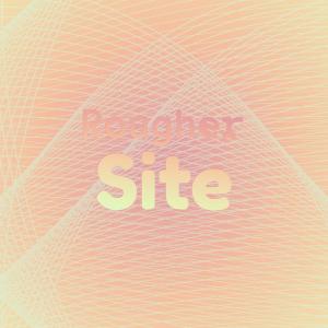 Various Artists的專輯Rougher Site