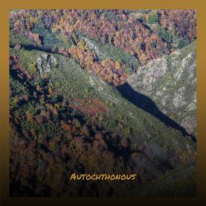 Album Autochthonous oleh Various
