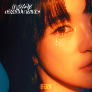Listen to ถ้าคนจะใช่ (มันใช่ไปนานแล้ว) song with lyrics from ส้ม มารี