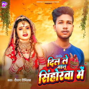 Album Dil Le Gailu Sinhorwa Me from Raushan Remix