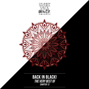 Various Artists的專輯Back in Black! (The Very Best Of) Chapter 12