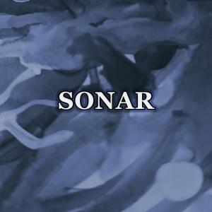 Hinder的專輯Sonar