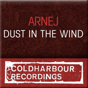Listen to Dust In The Wind (Deep Dub) song with lyrics from Arnej