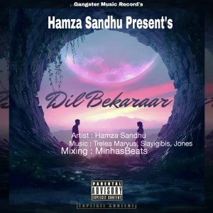 Album Dil Bekaraar from HAMZA SANDHU