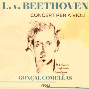 Listen to II. Larghetto song with lyrics from Orquestra Ciutat de Barcelona