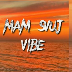 收聽Petriz的Mám Svůj Vibe (feat. Sasuke) (Explicit)歌詞歌曲