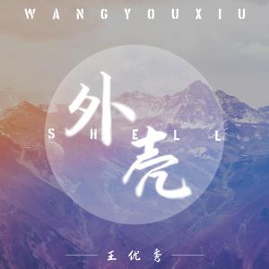 收聽王優秀的外殼歌詞歌曲