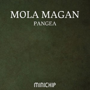 Listen to Pangea (Weevcha Vivira Remix) song with lyrics from Frost Galaghan