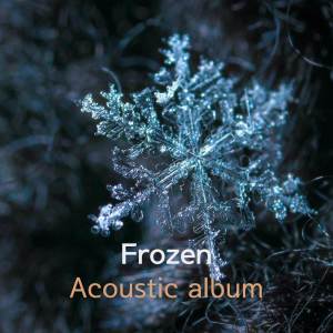 อัลบัม Frozen (Acoustic) ศิลปิน Dragon Stone