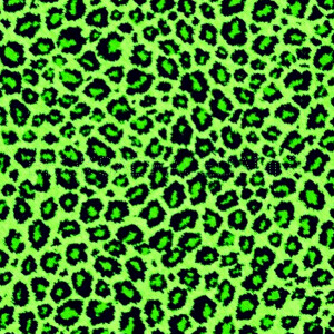 Album BeOK (Explicit) from 