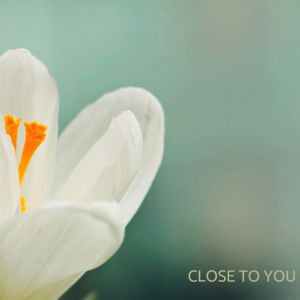 Listen to Close to you song with lyrics from Night Sounds Association