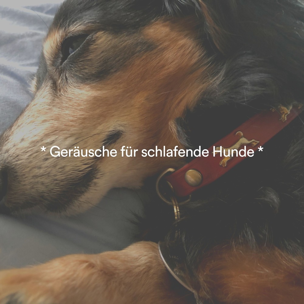 Kuscheliger Hunde-Schlaf