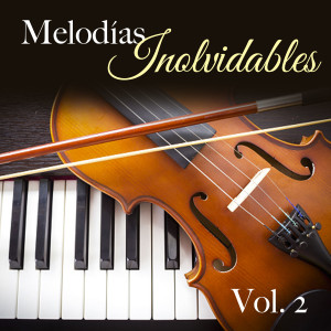Listen to Volver - El Día Que Me Quieras song with lyrics from André y su Conjunto