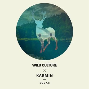 ดาวน์โหลดและฟังเพลง Brave (Wild Culture vs. Riley Pearce) [Heart Mix] (Heart Mix) พร้อมเนื้อเพลงจาก Wild Culture