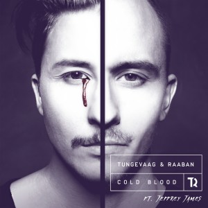 ดาวน์โหลดและฟังเพลง Cold Blood พร้อมเนื้อเพลงจาก Martin Tungevaag